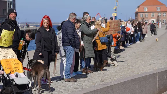 Rund 150 Menschen in Wismar fordern an der Kaikante die Rettung des gestrandeten Wals.