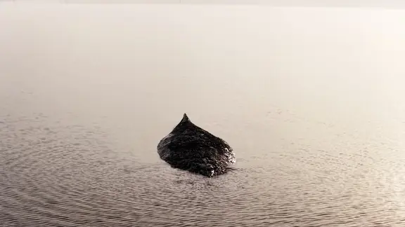 Bei sinkendem Wasserstand liegt der Buckelwal in der Kirchsee vor der Insel Poel