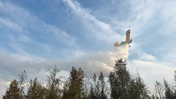 Ein Löschflugzeug wirft Wasser über einem Waldbrand ab.